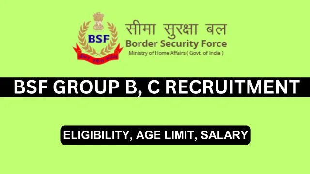 BSF Group B and C Recruitment 2024